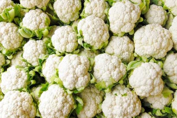 تصویر 3 از راهنمای خرید کلم بروکلی سفید + قیمت عالی